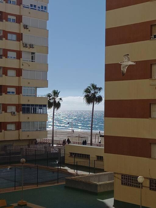 Alegrias De Cadiz By Gades Gestion Apartment Exterior foto